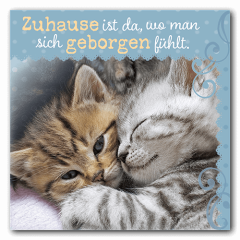 35x70_Mikro_Katzen
